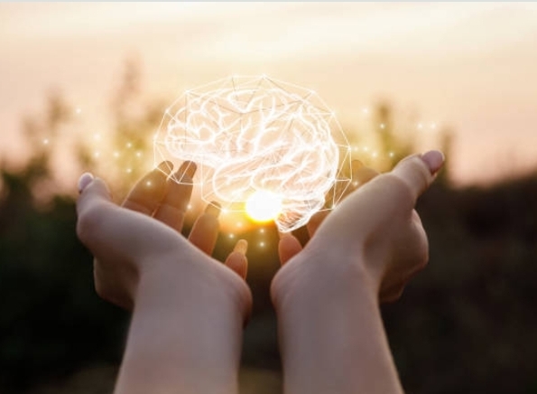 Human Brain Facts 🧠 