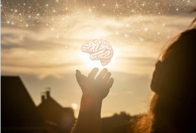 Human Brain Facts 🧠 